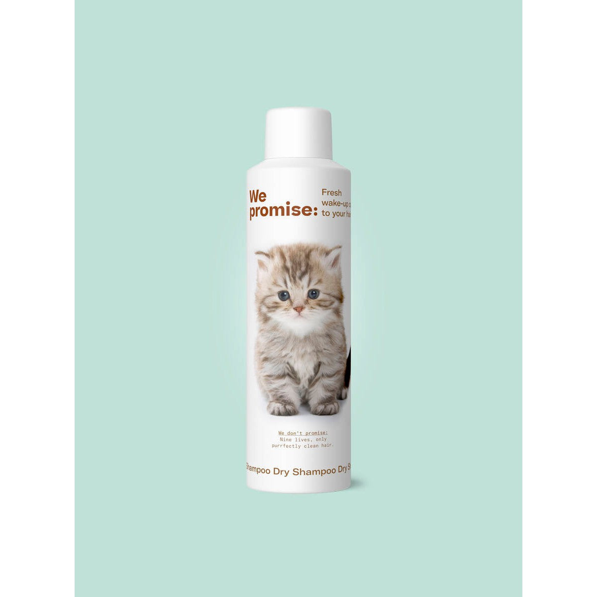 PROMISE Dry Shampoo 250 ml